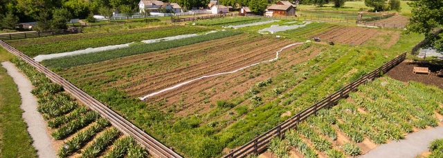 Hildebrand Ranch aerial shot
