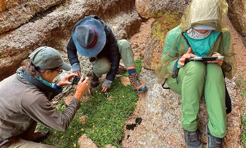 tablet collection thumbnail