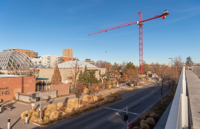 Construction at the gardens