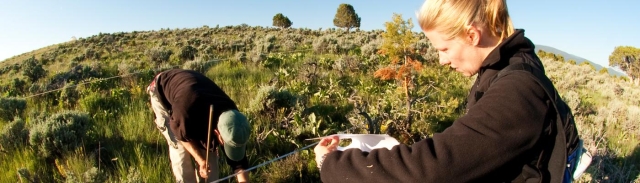 Two people doing research outside