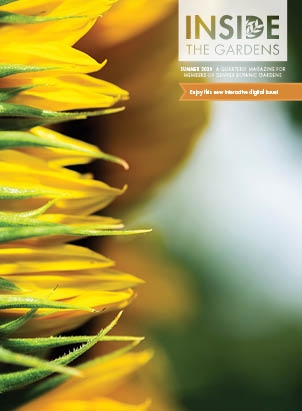 Summer 2020 - Inside the Gardens cover art.