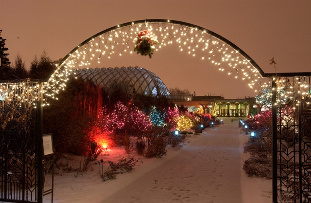 Blossoms of Light, Then and Now | Denver Botanic Gardens