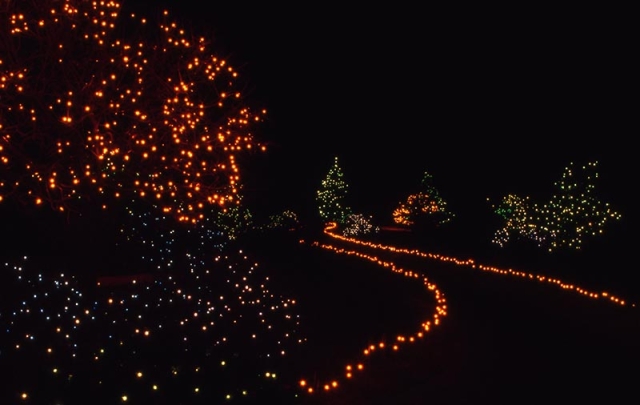 25+ Botanic Gardens Blossoms Of Light