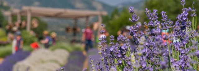 Yoga in the Secret Gardens - Botanic Gardens - Chatfield Farms Edition  Tickets, Sat, May 4, 2024 at 9:00 AM