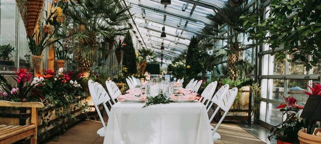 Private event in the Orangery at York Street