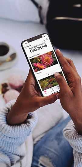 Bloomberg Connects app