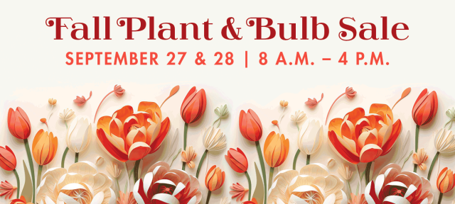 Fall Plant & Bulb Sale words with drawings of orange and yellow tulips