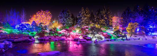 Brightly colored holiday lights on trees, glimmering in the night. The lights reflect on an icy pond with snow on the ground. 