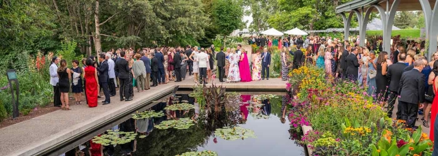 Fete des Fleurs in the Annuals Garden