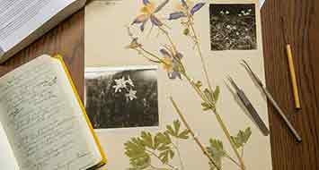 Herbarium sheet with dried flowers and photos, notebook and pens