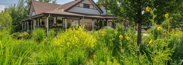 A field of flowers in the foreground with a building in the background