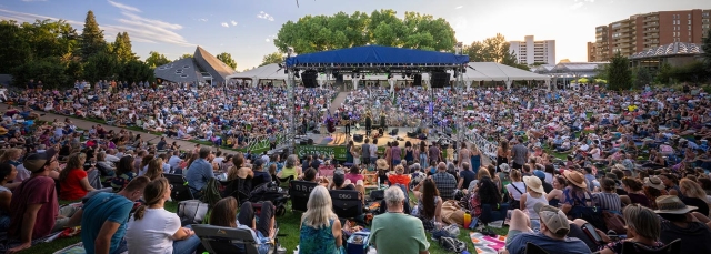 People sitting on the grass are enjoying an outdoor concert.