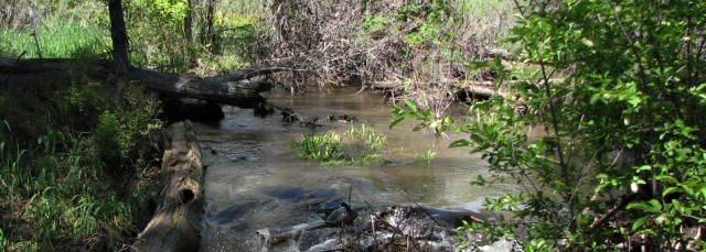 Biodiversity Research | Denver Botanic Gardens